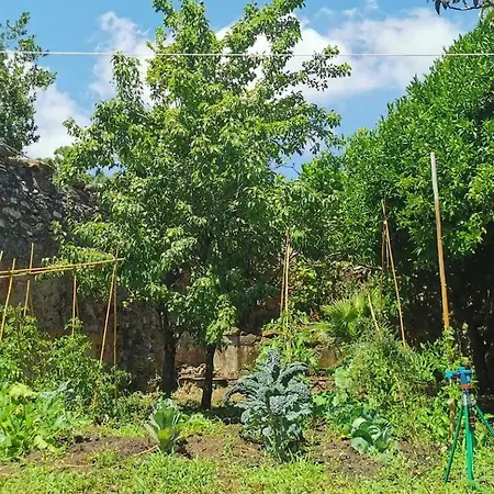 Διαμέρισμα Monolocale Con Veranda E Giardino A *