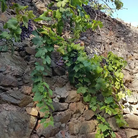 Monolocale Con Veranda E Giardino A Διαμέρισμα