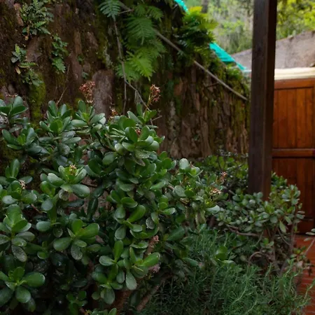 Monolocale Con Veranda E Giardino A Daire