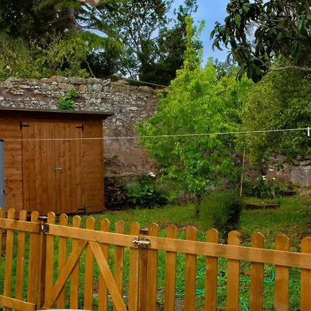 Daire Monolocale Con Veranda E Giardino A *
