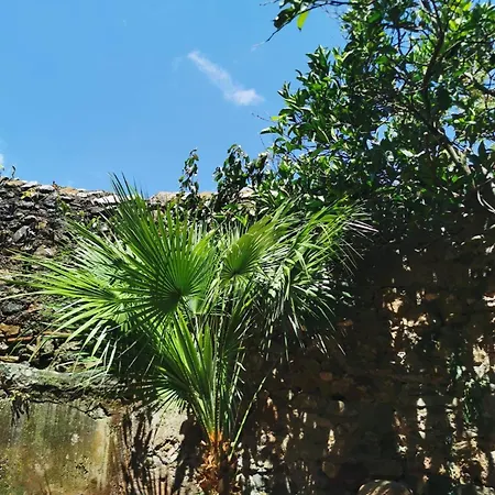 Monolocale Con Veranda E Giardino A Daire Rio Marina