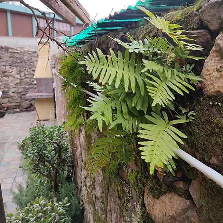 Daire Monolocale Con Veranda E Giardino A *
